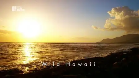Wild Hawaii (2012)