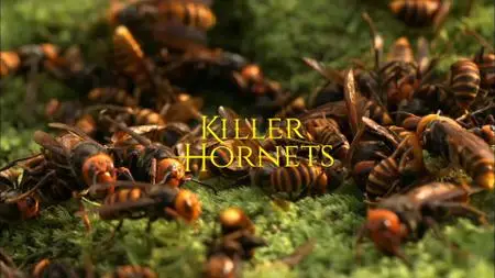 Killer Hornets (2016)