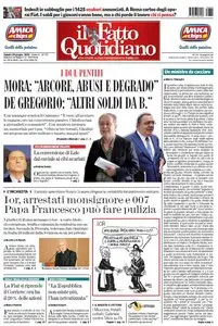 Il Fatto Quotidiano (29-06-13)