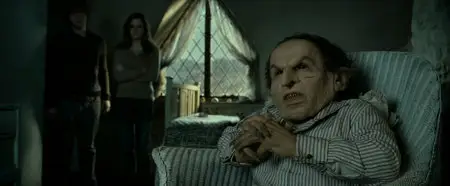 Harry Potter and the Deathly Hallows: Part 2 (2011)