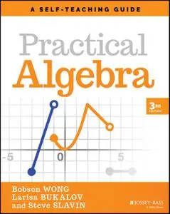 Practical Algebra: A Self-Teaching Guide (Wiley Self-Teaching Guides), 3rd Edition