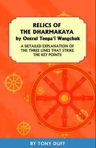Relics of the Dharmakaya: A Detailed Explantion of the Three Lines That Strike the Key Points 