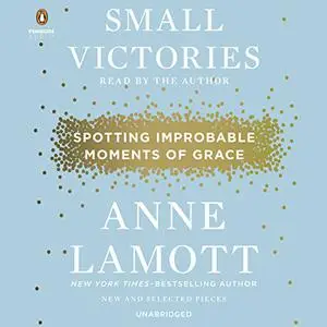 Small Victories: Spotting Improbable Moments of Grace [Audiobook]