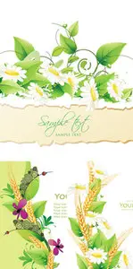 Summer Backgrounds Vector 2