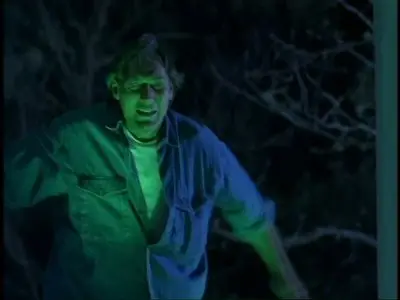 The Tommyknockers (1993)