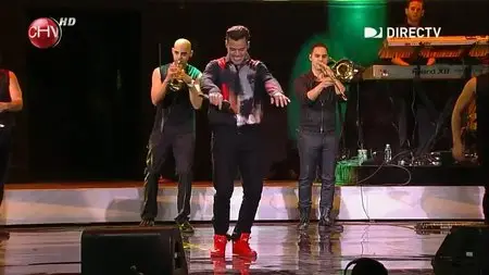Ricky Martin - Viña del Mar (2014) [HDTV, 720p]