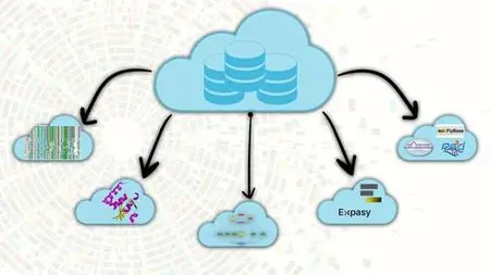 A Comprehensive Guide To Databases In Bioinformatics