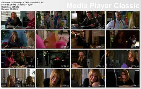 In Plain Sight S02E08