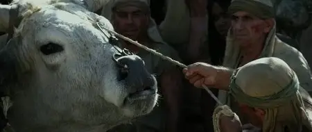 Exodus: Gods and Kings (2014)