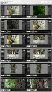 Lynda - Creating High Dynamic Range (HDR) Photos with Lightroom