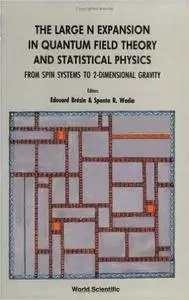 The Large N Expansion in Quantum Field Theory and Statistical Physics: From Spin Systems to 2-Dimensional Gravity (Repost)