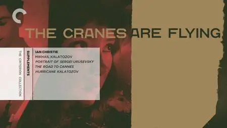 Letyat zhuravli / The Cranes Are Flying / Летят журавли (1957) [Criterion Collection]