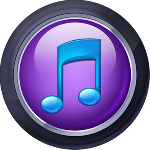 Purple Player Pro v2.5.0 (Patched)