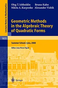 Geometric Methods in the Algebraic Theory of Quadratic Forms