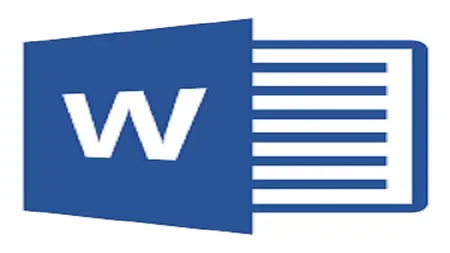 Microsoft Word 365 (Beginner to Pro)