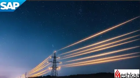 SAP IS-U Device Management from Scratch