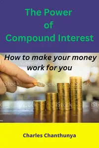 THE POWER OF COMPOUND INTEREST: How to make your money work for you