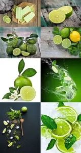 Amazing Lime Collection 2