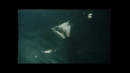 Octopus! S01E02