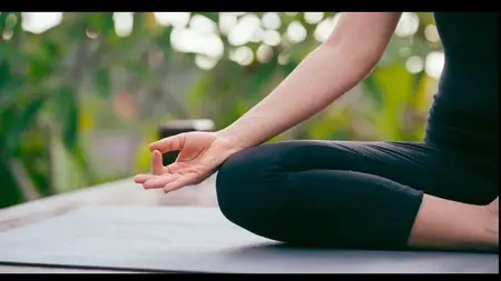 Hatha Yoga for Strength, Core, Healing, Stretch & Balance.