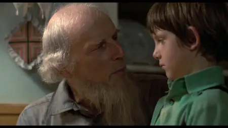 Witness (1985)