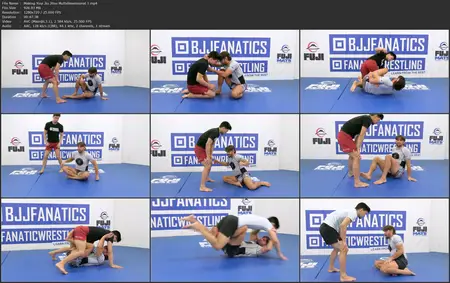 Heisting: Making Your Jiu Jitsu Multidimensional