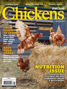 Chickens - May-June 2025