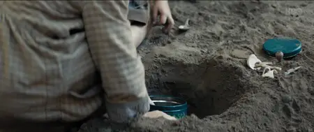 Bille (2018)