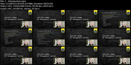 ISO/IEC 42001. Artificial intelligence management system