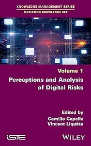 Perceptions and Analysis of Digital Risks