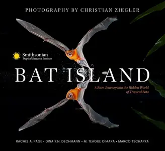 Bat Island: A Rare Journey into the Hidden World of Tropical Bats