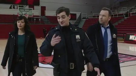 Blue Bloods S09E12