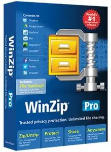 WinZip Pro 25.0 Build 14273 (x64) Portable