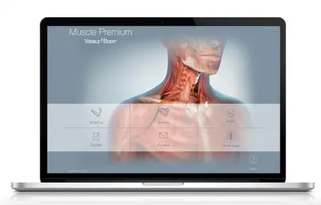 Visible Body Muscle Premium 2014 Portable