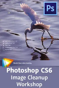 Photoshop CS6 Image Cleanup Workshop
