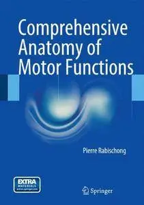 Comprehensive Anatomy of Motor Functions [Repost]