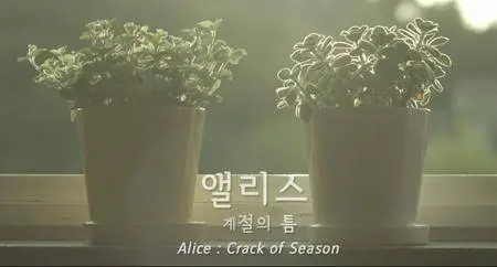 Alice: Crack of Season (2016)