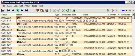 Runtime DiskExplorer For FAT/NTFS/Linux 4.21