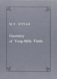 Geometry of Yang-Mills fields