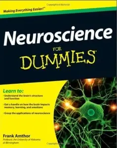 Neuroscience For Dummies (repost)