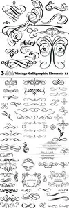 Vectors - Vintage Calligraphic Elements 11