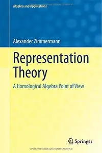 Representation Theory: A Homological Algebra Point of View