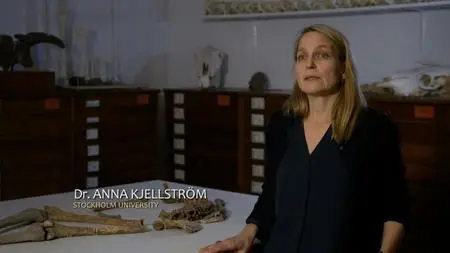 Smithsonian Ch. - Epic Warrior Women: Vikings (2019)