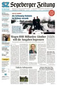 Segeberger Zeitung - 29. Dezember 2018