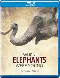 When Elephants Were Young (2016)