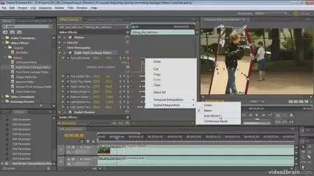 Video2brain - Compositing in Premiere Pro [repost]