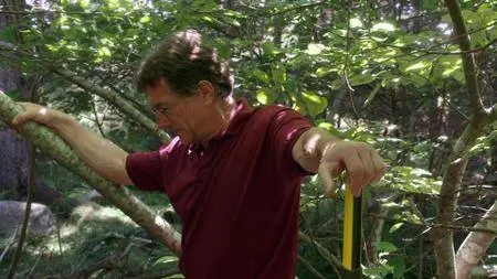 The Curse of Oak Island S05E08