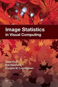 Image Statistics in Visual Computing (repost)