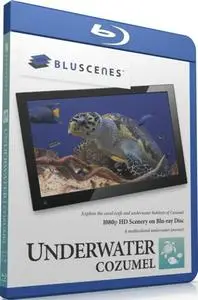 BluScenes: Underwater Cozumel (2010)