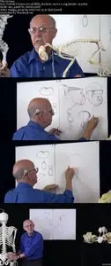 How to Draw Animals - G. Vilppu